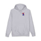 We've Got Spirit Hoodie (Independent Trading Co)